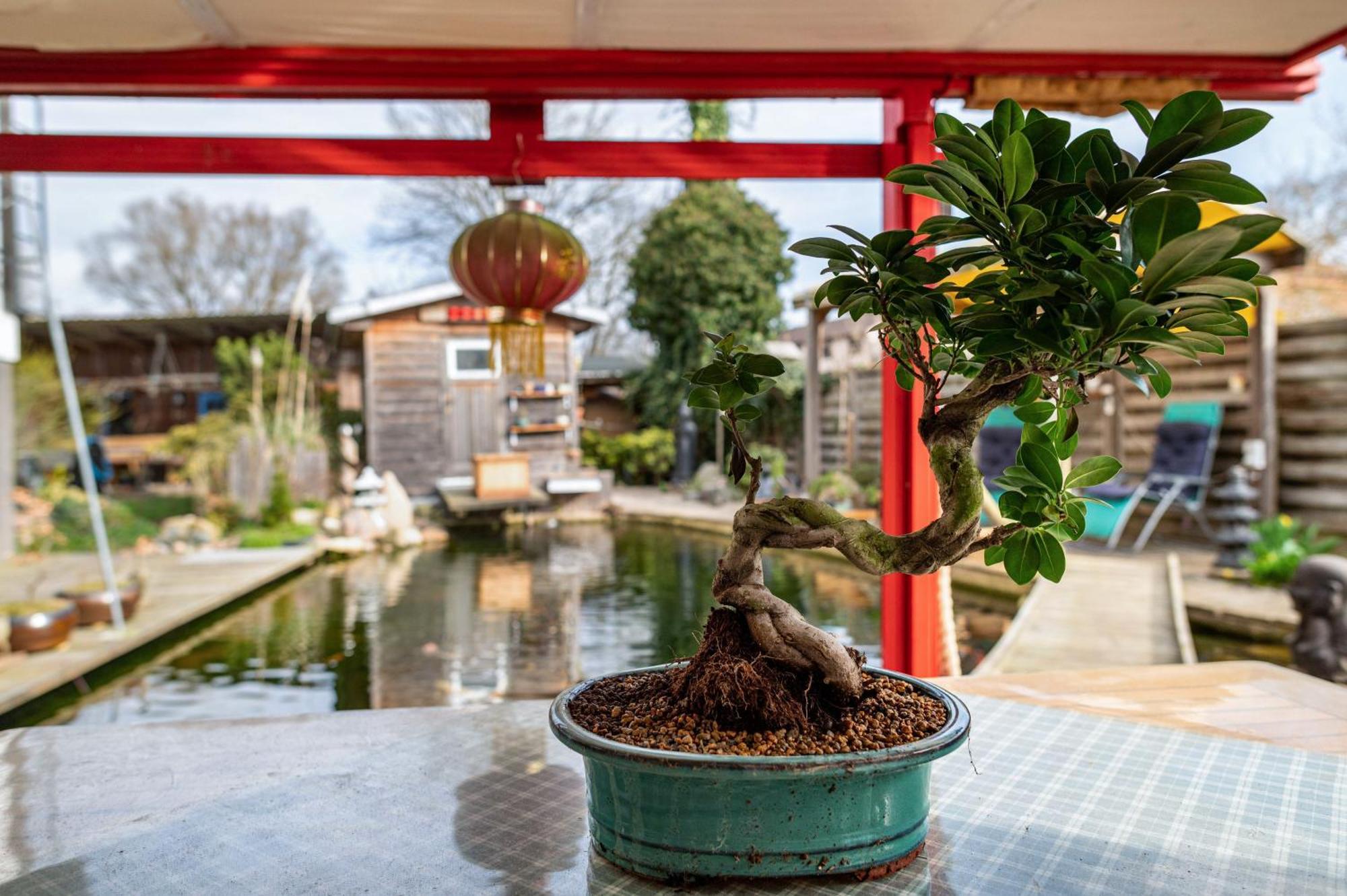 Appartamento Am Teich Bützow Esterno foto