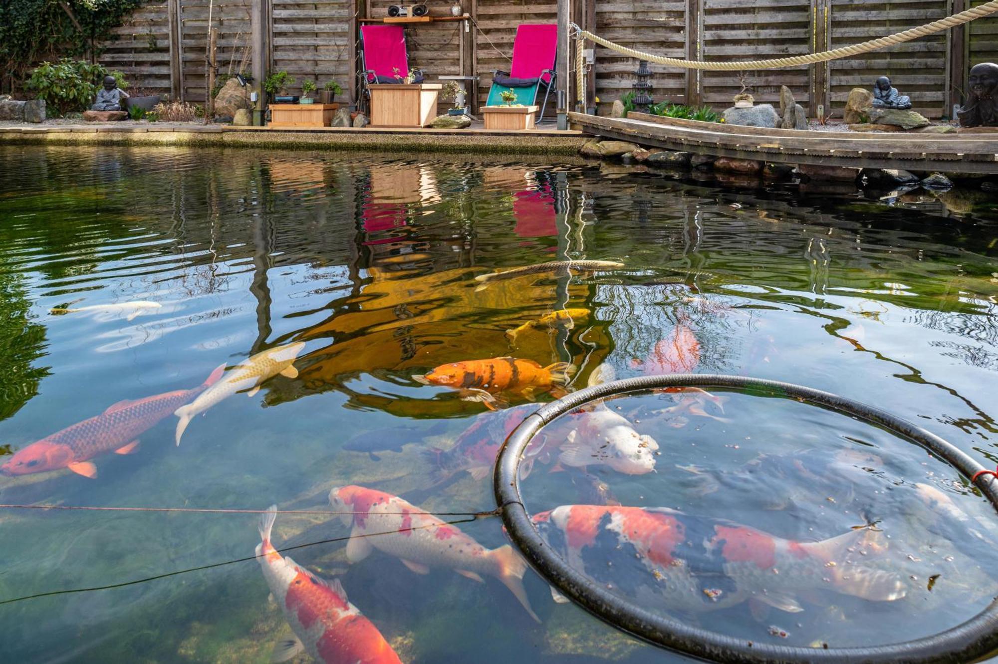 Appartamento Am Teich Bützow Esterno foto